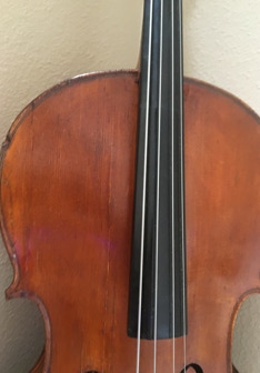 Cello Close-up of upper body, lower fingerboard